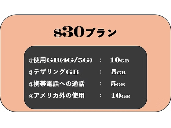 $30プラン